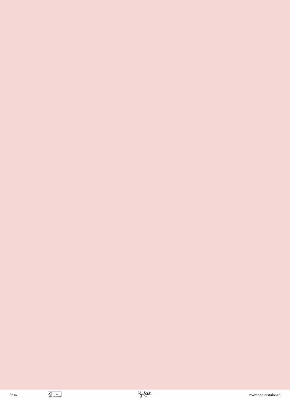 07_Rosa