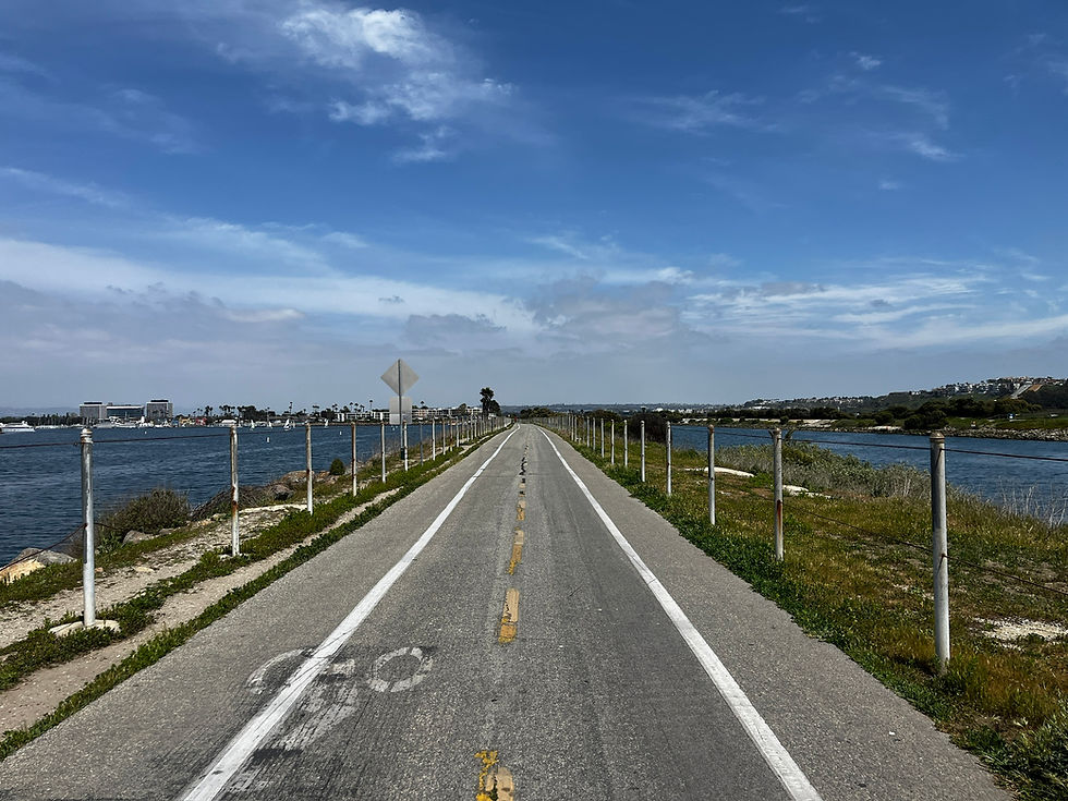 How Riding Bikes Save your City & Our Planet