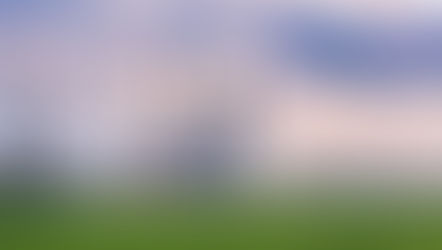 CEO Insights: De-risking is key to a zero carbon future