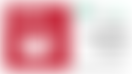 SDG4: The 17 Sustainable Days of the Election