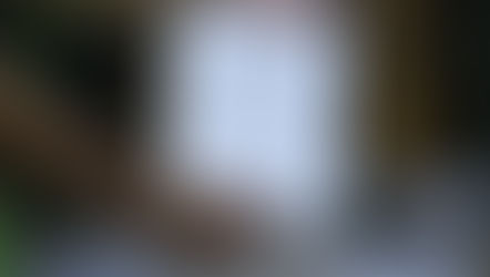 CEO Insights: Post-budget/pre-election perspectives on sustainability