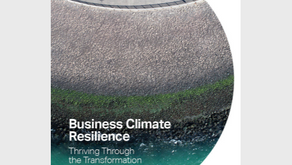 Media release: WBCSD Business Climate Resilience report