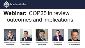 On-demand webinar: COP25 final outcomes