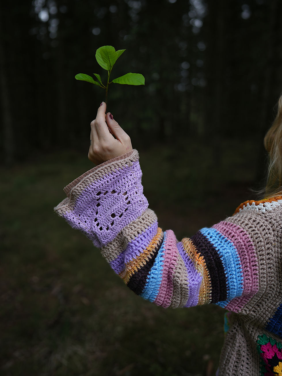 Miniatyrbild: Fångad av en Ruta