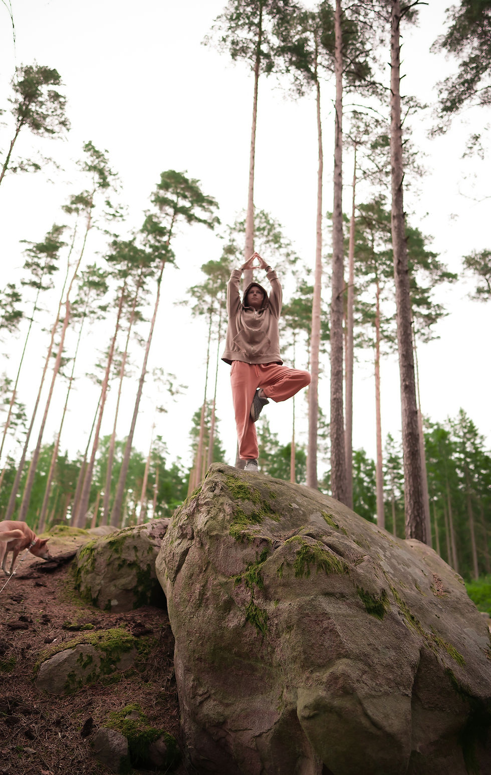 Tjej i yogapose ute i skogen