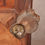 Thumbnail: Fine Regency Mahogany Wine Cooler