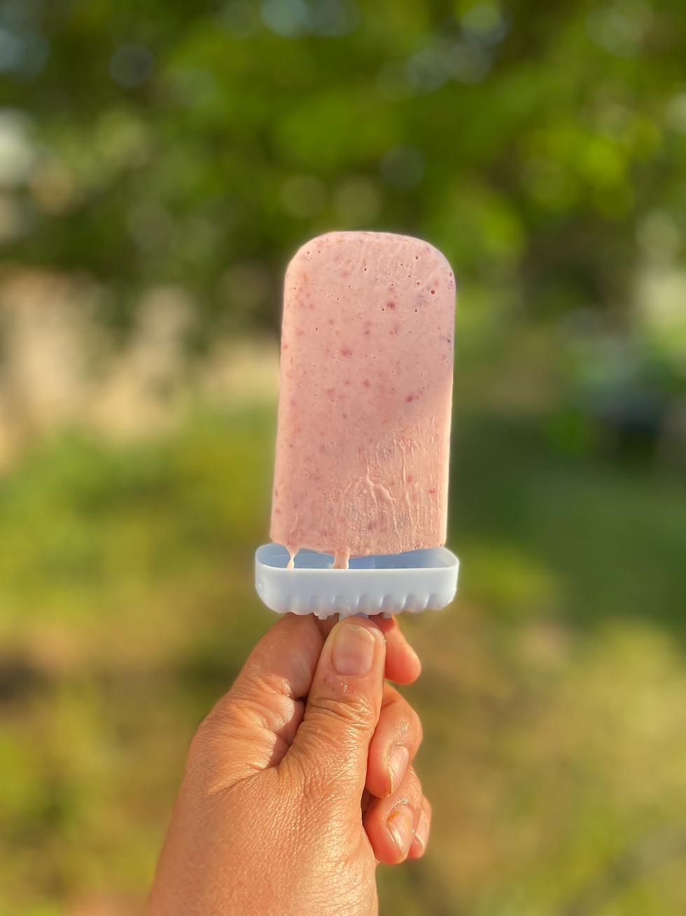 Coconut fruit popsicle