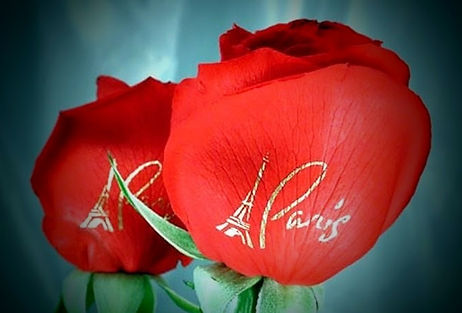 Paris Collection