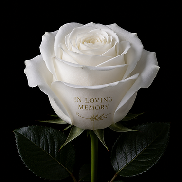 In loving memory