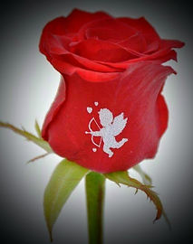 Personalised love rose