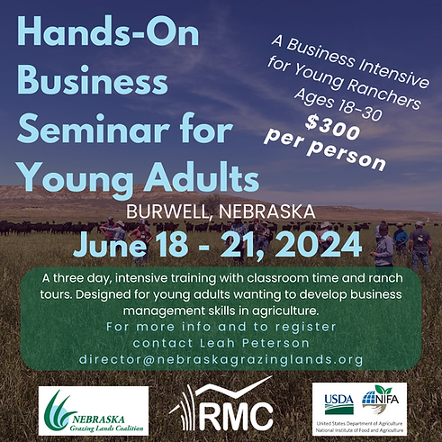 NE Business Seminar for Young Adults 2024-2.png