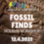HOLIDAY WORKSHOP: FOSSIL FINDS