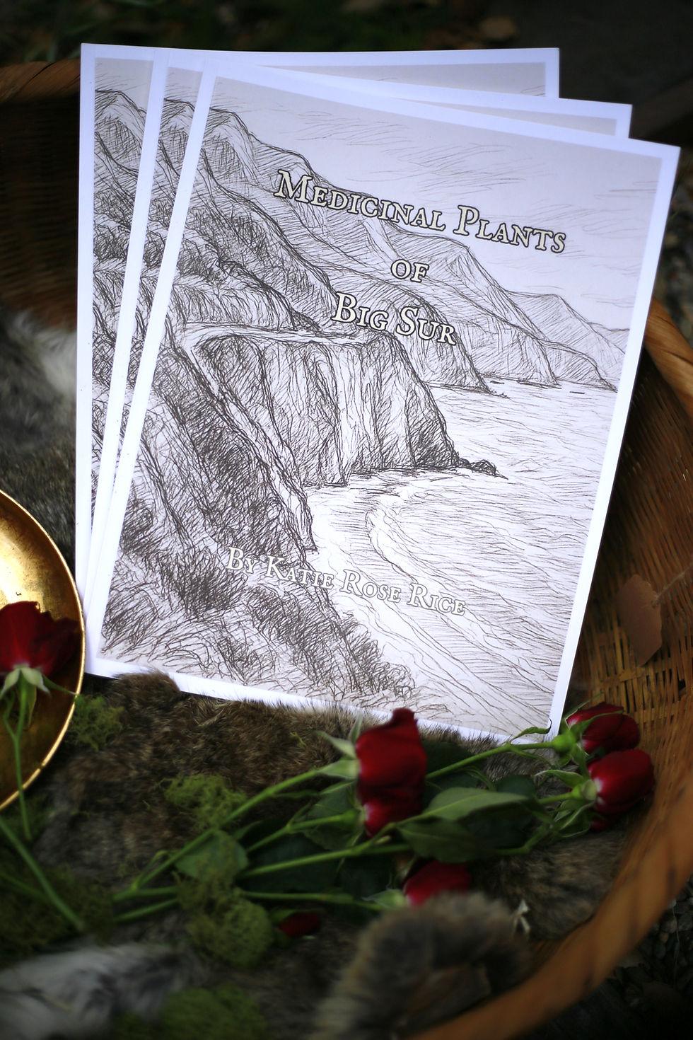 Thumbnail: Medicinal Plants of Big Sur