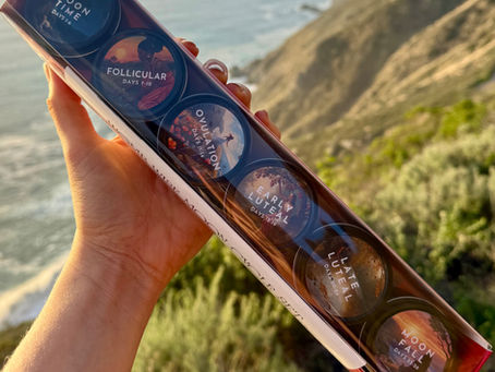 February 2026 Newsletter