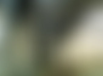 De olho na qualidade