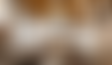 Restaurant & Bar Design Awards 2022