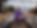 IMG_9202.PNG