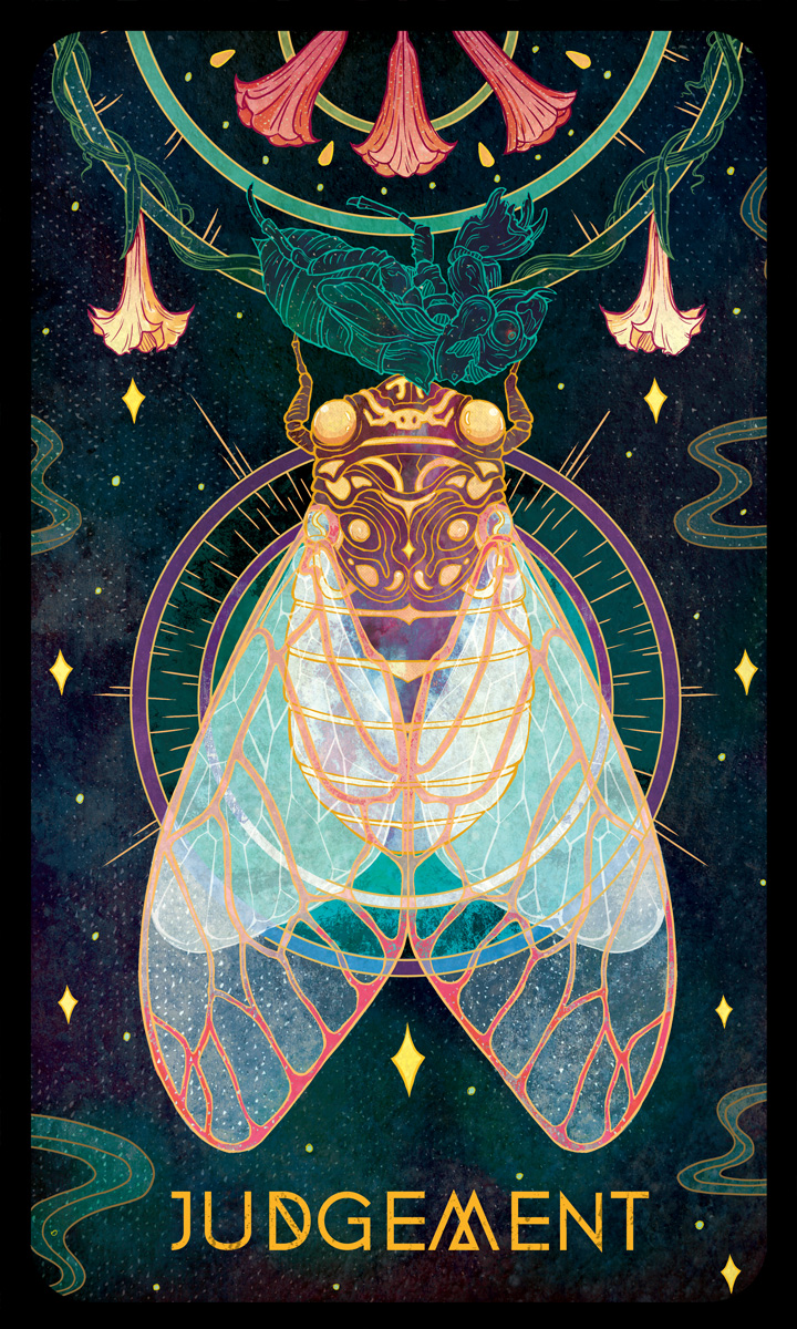 Judgement