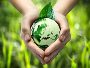 Недели экологического образования и просвещения