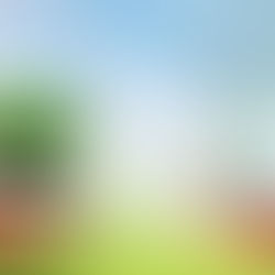 Проблемы формирования экологической культуры устойчивого развития