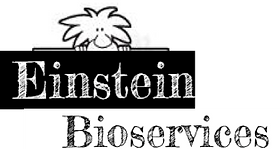 Logo Einstein