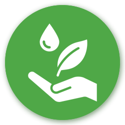 Green icon.png