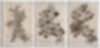 Evolution of Time Triptych - small