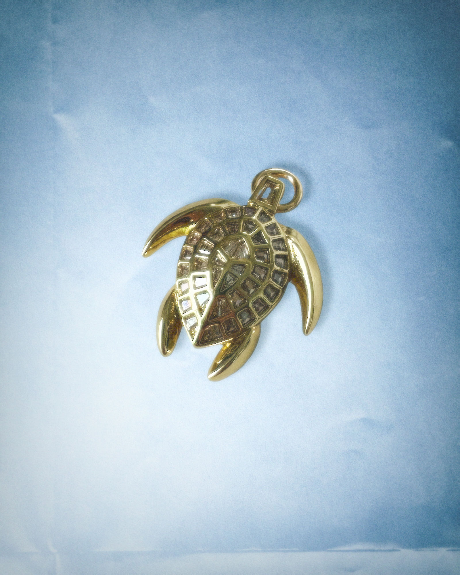 GRIS GRIS TORTUE **