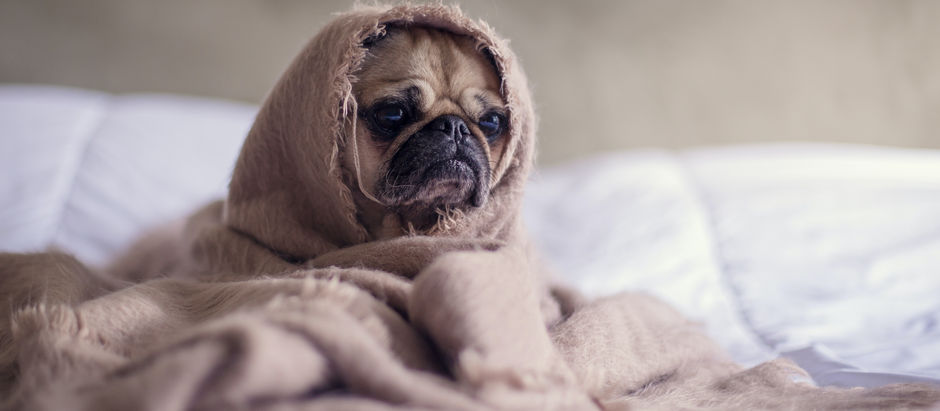 Help yourself sleep better