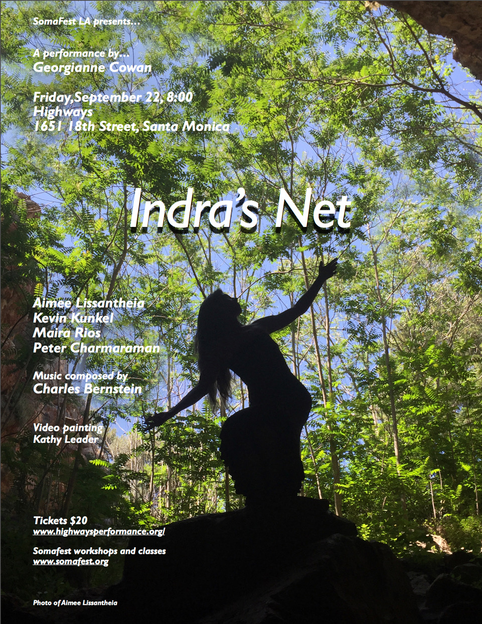 Indra's Net