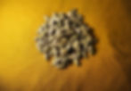 bagas de cardamomo