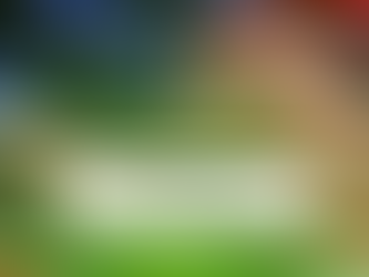 Solid Gold Berjangka | Update Data Inflasi AS Juni 2024