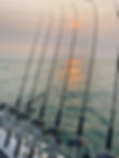 pic-8.jpeg
