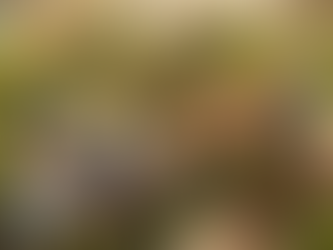 10/18/25 Rich in Good Deeds