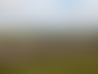 11/06/25 Reflections of Courage