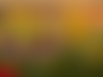 10/24/25 The Joy of Partnership