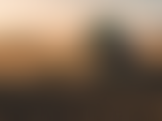 10/11/25 Sowing Peace Bears Good Fruit