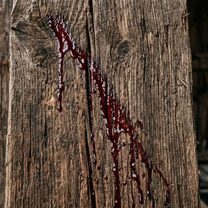 03/28/26 The Costly Love of Jesus