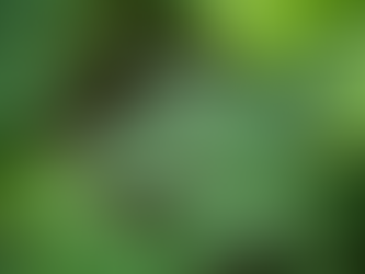 10/26/25 Overflowing Thanksgiving