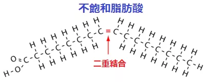 不飽和脂肪酸