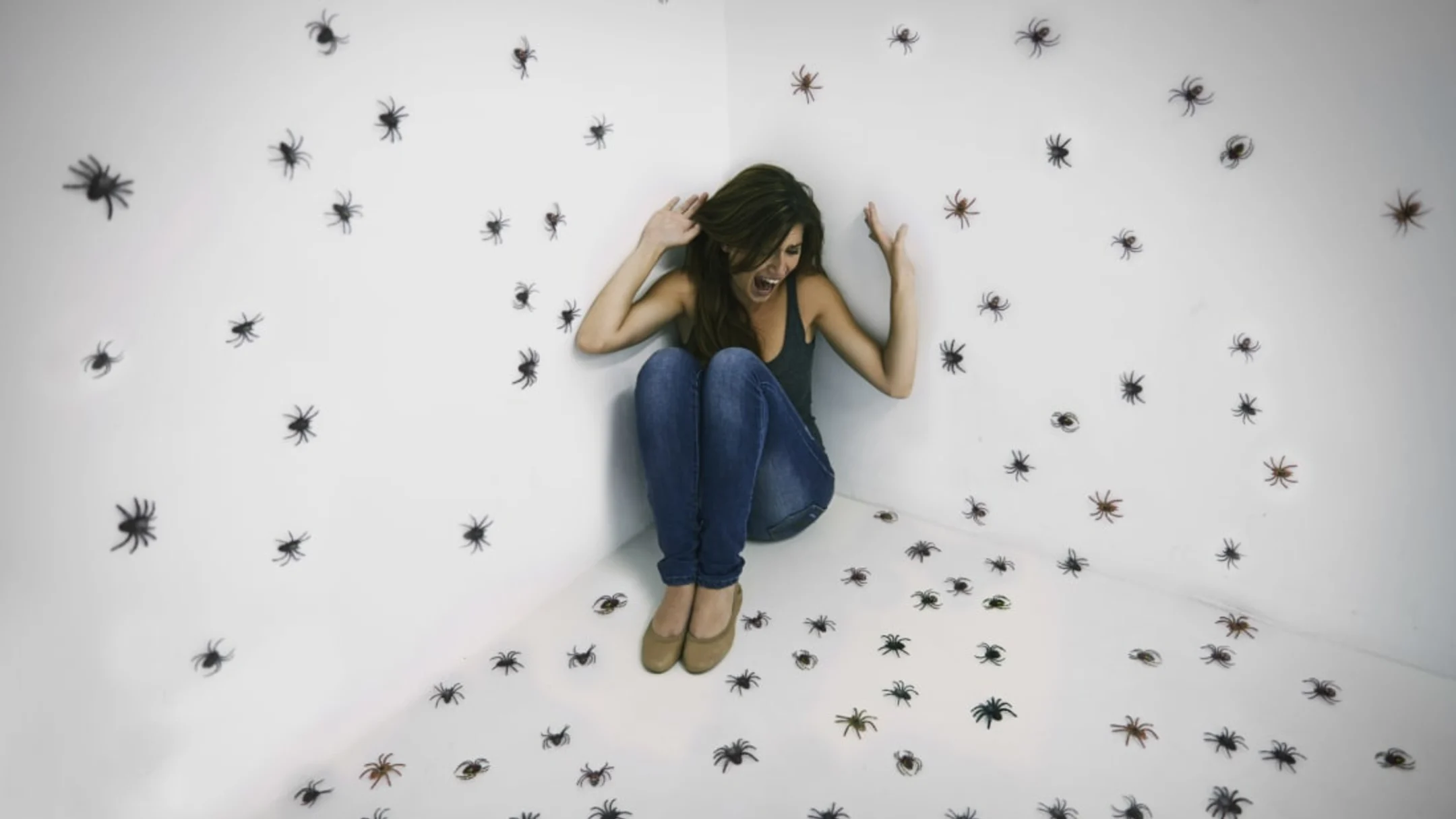 scared of bugs.webp
