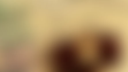 Determining inheritance status under Vietnamese civil law