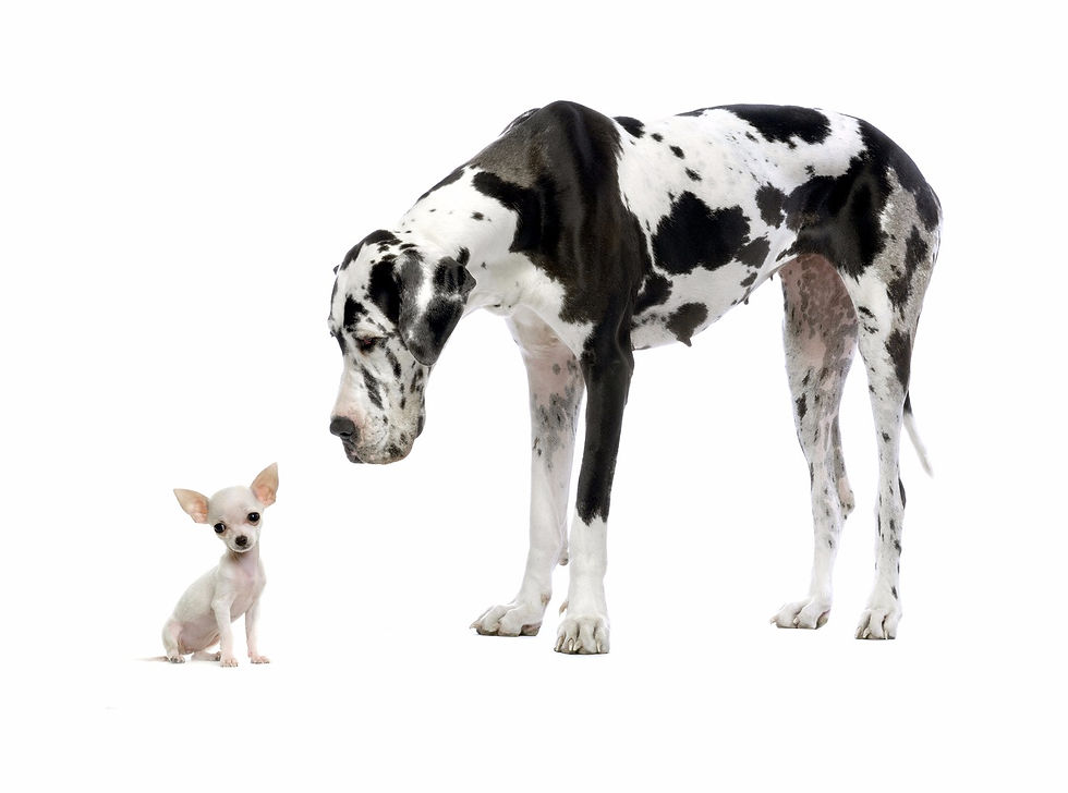 Big Thinking on Small Grants Blog