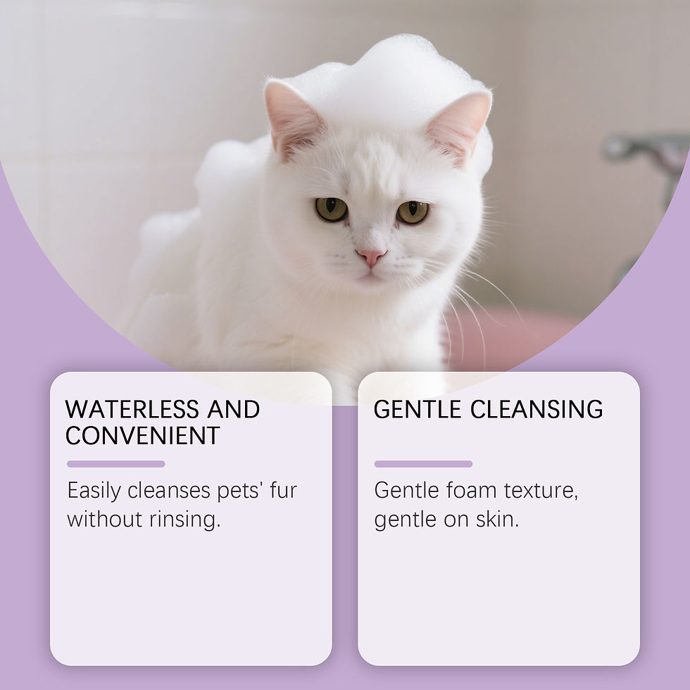 Thumbnail: PawFresh No-Rinse Foam
