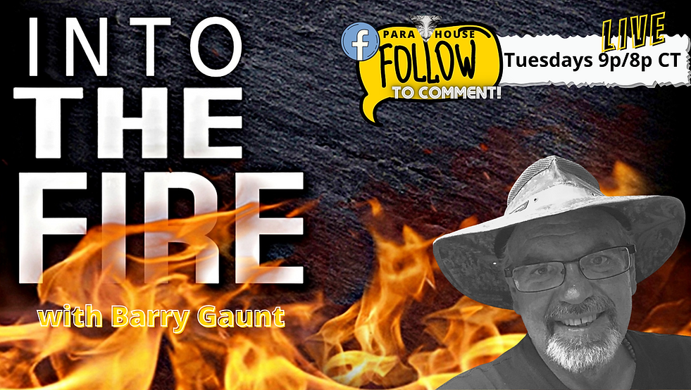 PARA HOUSE TV Barry Gaunt Into the Fire 