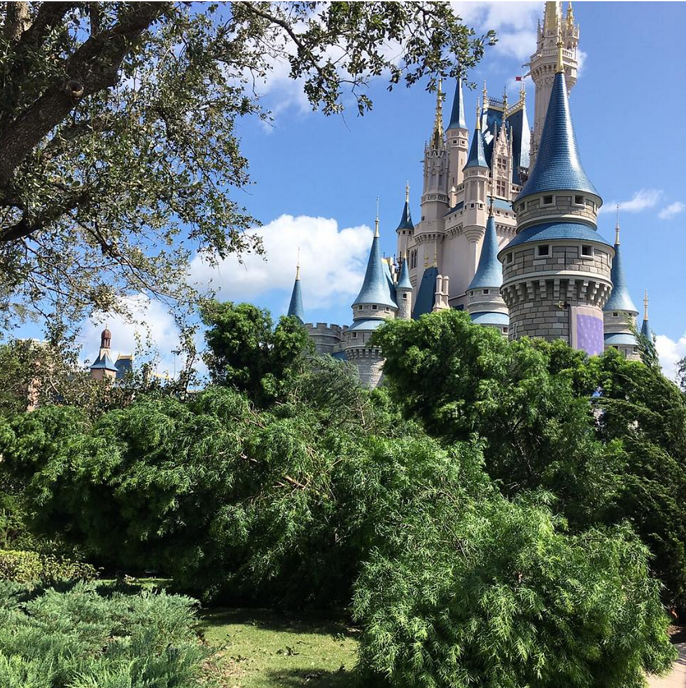 Magic Kingdom after hurricane damage by Cinderella's castle. Photo by Four Theme Parks Magazine.