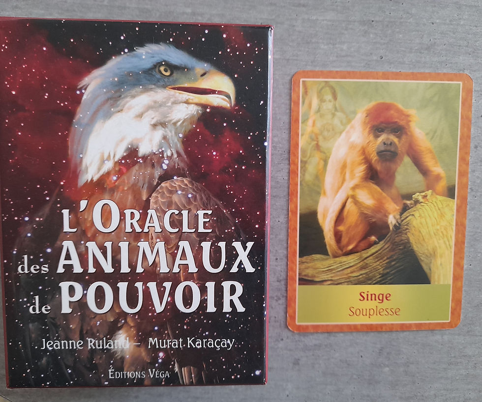 Singe: Souplesse pour la Pleine Lune en Bélier