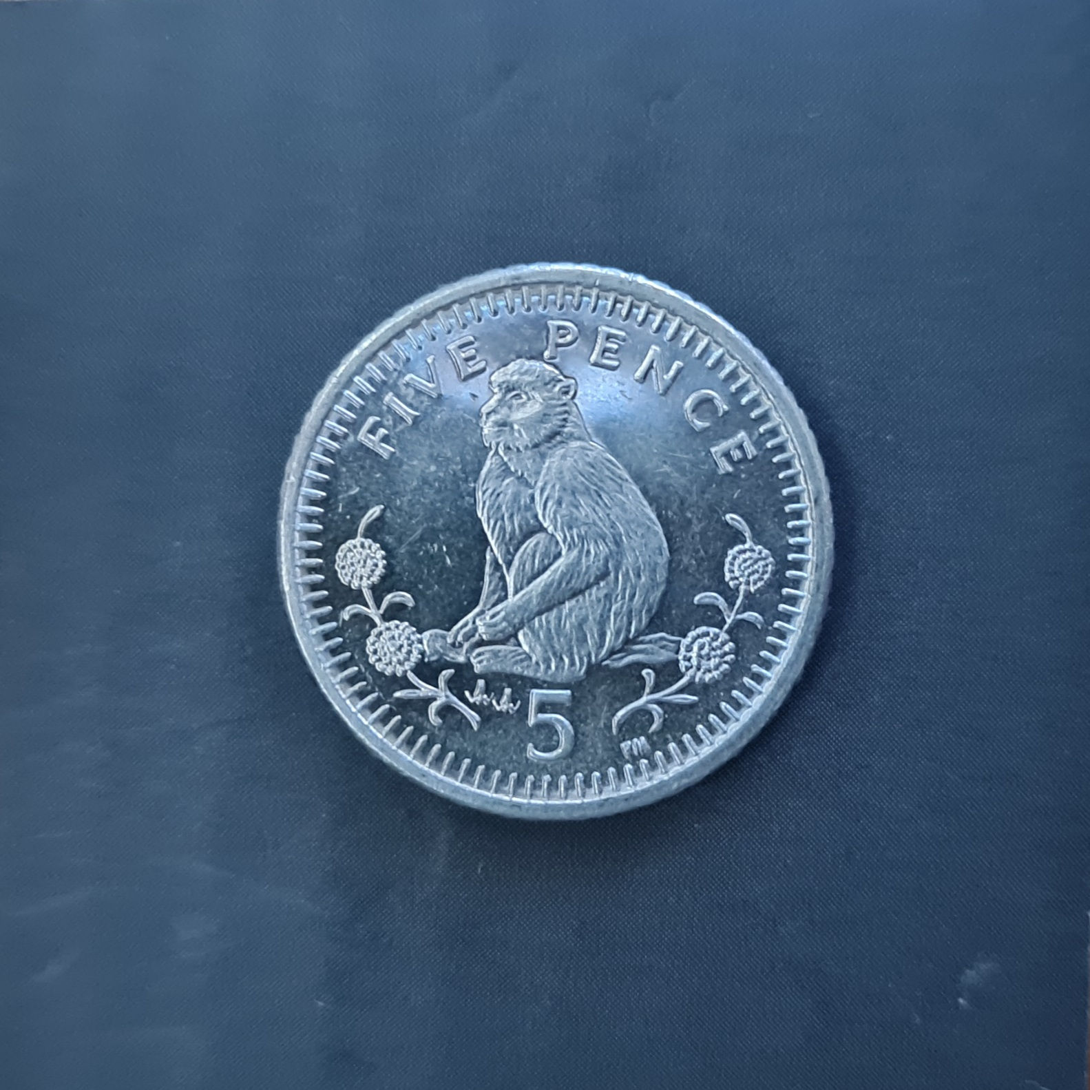 Gibraltar Monkey with flowers 5p - 1999