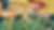 438241628_122139056162203930_4222432167846903387_n.jpg