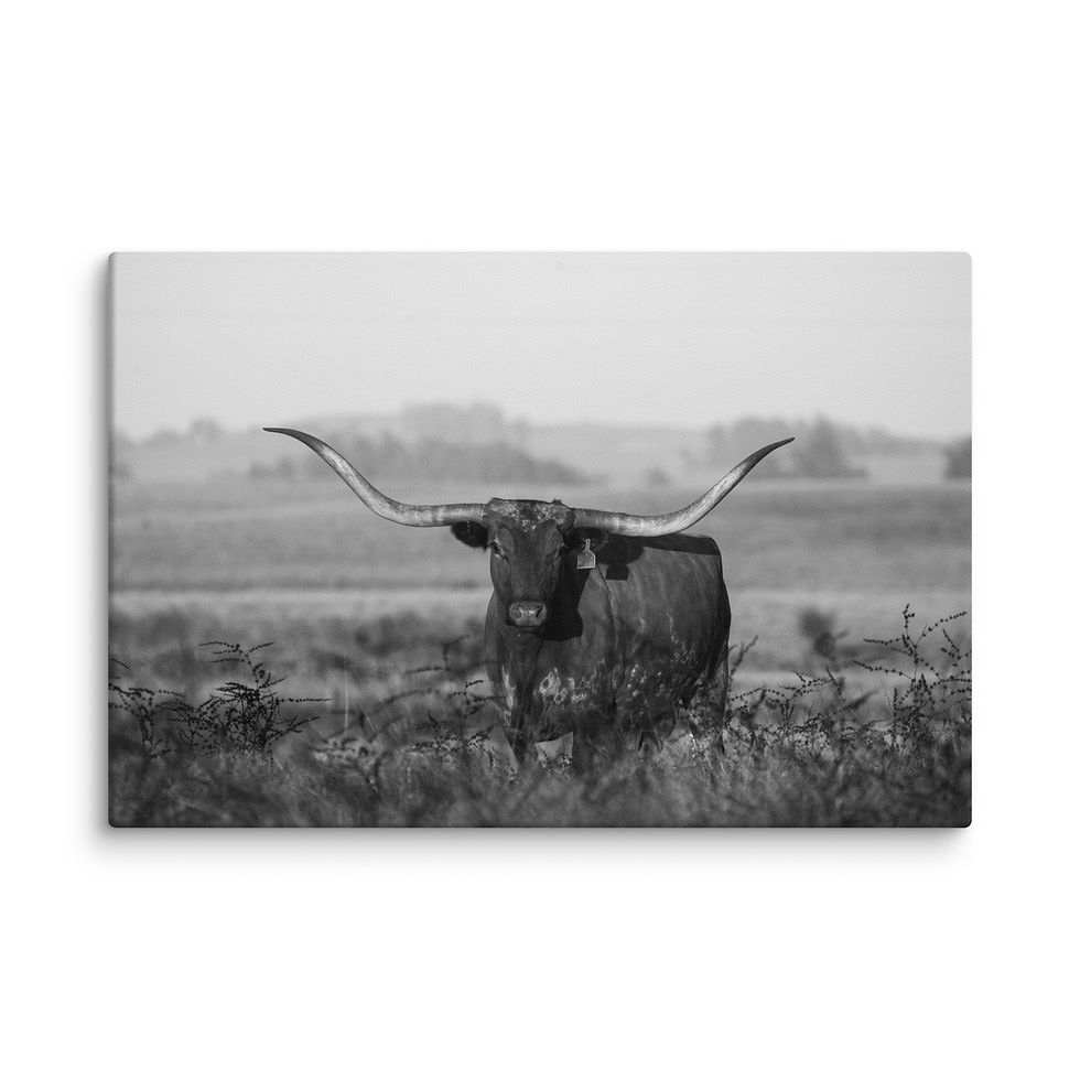 Thumbnail: Staring Down The Sunset BW